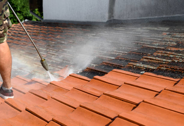 Best Exterior Home Cleaning  in Punta Rassa, FL