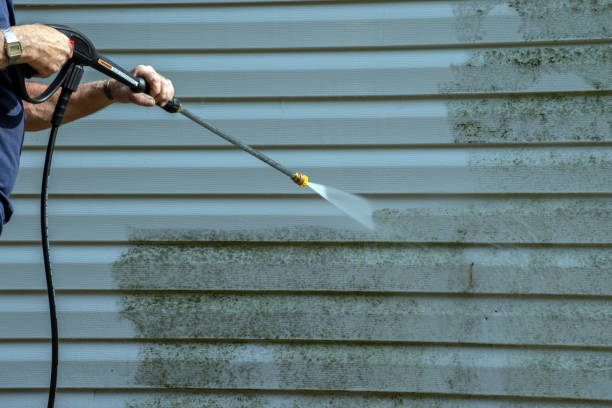 Why Choose Our Certified Pressure Washing Experts for Your Project Needs in Punta Rassa, FL?