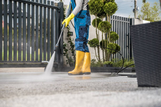 Best Roof Power Washing Services  in Punta Rassa, FL