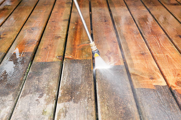 Best Commercial Building Pressure Washing  in Punta Rassa, FL