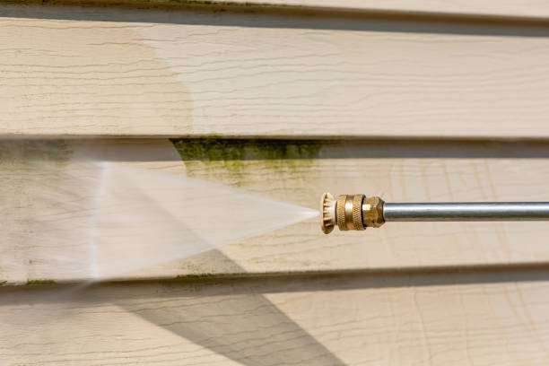 Best House Pressure Washing  in Punta Rassa, FL