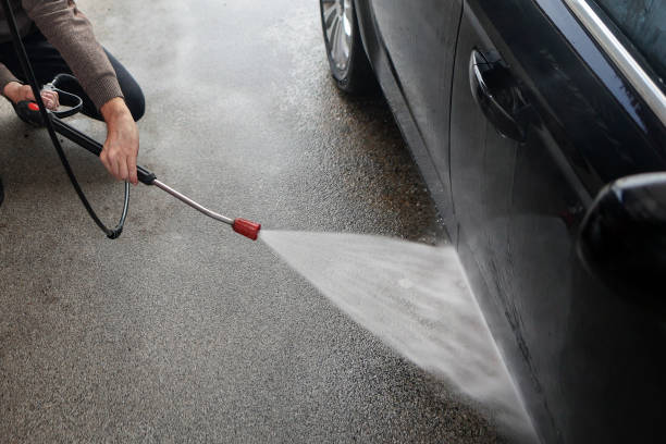 Best Roof Pressure Washing  in Punta Rassa, FL
